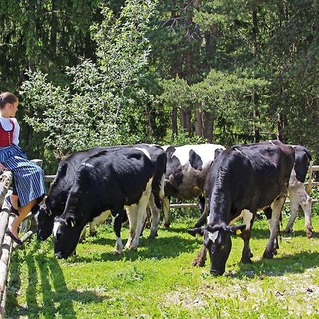 Niederhaeusererhof Βίλα Falzes Εξωτερικό φωτογραφία