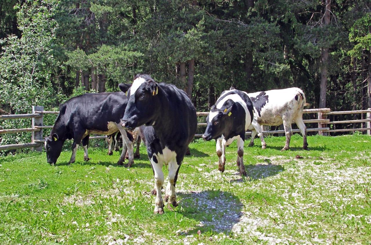 Niederhaeusererhof Βίλα Falzes Εξωτερικό φωτογραφία