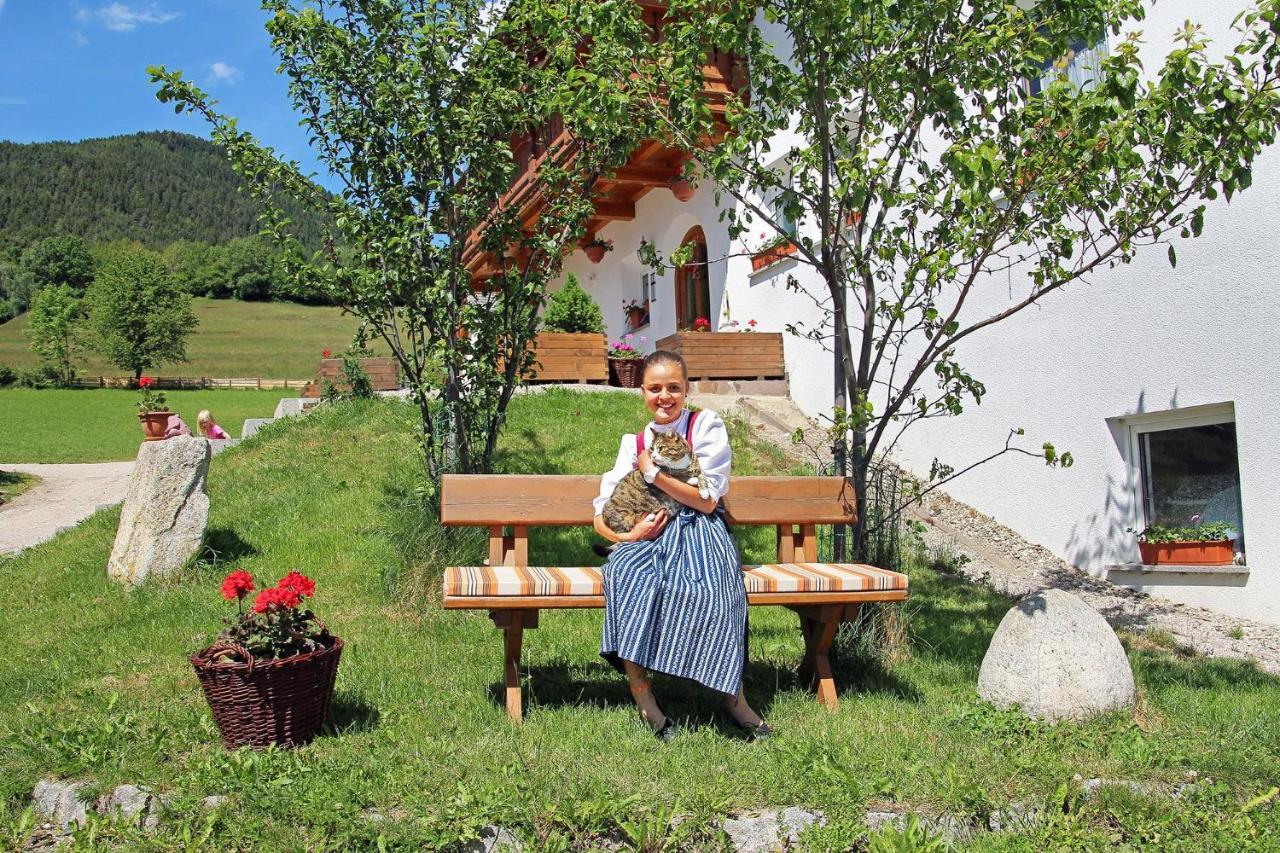 Niederhaeusererhof Falzes Εξωτερικό φωτογραφία