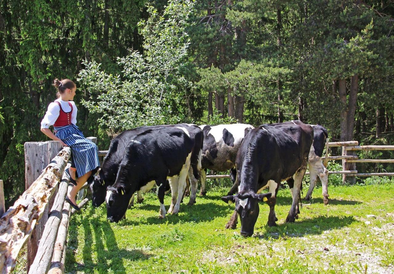 Niederhaeusererhof Βίλα Falzes Εξωτερικό φωτογραφία